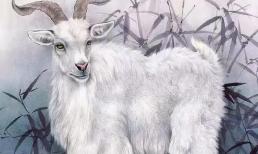 3 tháng cuối năm 2021, 3 con giáp tai qua nạn khỏi, nhìn thấy tương lai tươi sáng, sự nghiệp cải thiện rõ rệt 