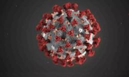 Mới nhất: Thuốc giảm cholesterol có thể giảm gần 50% tỷ lệ tử vong của Covid-19? 