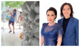 Ông xã đi không vững khi vác gạo làm từ thiện, Việt Hương vừa xót xa vừa trêu chồng cực dễ thương