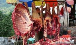 Tại sao ngoài chợ thường thấy tiết heo, tiết vịt mà không có tiết gia súc? Người bán thịt bò sẽ giải thích cho bạn