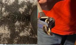 Cảm thấy có dị vật dưới gầm giường, người phụ nữ lần sờ thì tá hóa khi phát hiện thấy cả ổ rắn 