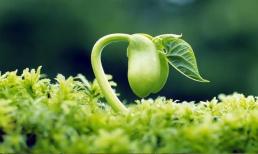 Bạn có nằm trong top 3 con giáp có vận may tốt nhất từ ngày 3 đến ngày 19 tháng 8 không?