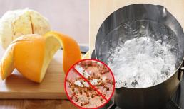 Nếu nhà bạn có quá nhiều kiến, dùng cách này diệt chúng vĩnh viễn, an toàn cho sức khỏe và hiệu quả nhất