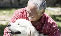 Lý do những người lớn tuổi nên nuôi thú cưng?