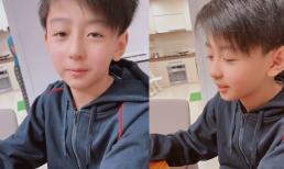 Trương Bá Chi khoe video quý tử nói tiếng Anh như gió, gương mặt ngày càng điển trai khiến cư dân mạng khen nức nở gen của Tạ Đình Phong 