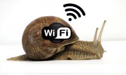 Những đồ vật làm chậm sóng Wi-Fi trong nhà mà bạn không ngờ tới