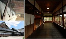 Chống trộm bằng sàn nhà: Nghe tưởng đùa nhưng hóa ra lại là sự thật, cách chống trộm vô cùng hiệu quả của người Nhật