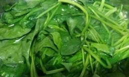 Nước đã chần rau cải bó xôi, không nên đổ đi dù là một giọt, để ở nhà “đáng đồng tiền bát gạo”, đừng nói tôi không nói với bạn