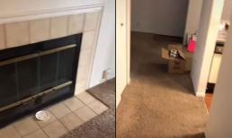 Đi công tác 5 ngày, trở về cô gái sốc nặng khi thấy chồng và toàn bộ đồ đạc trong nhà biến mất