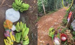 9X khoe cuộc sống tự cách ly giữa khu vườn 10.000m2, dân tình nhìn 'chỉ biết ước'