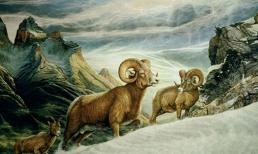 3 con giáp được thần tài và quý nhân chiếu cố nồng hậu, may mắn ngập tràn, tiền tài bát ngát sau Rằm tháng 7 âm lịch