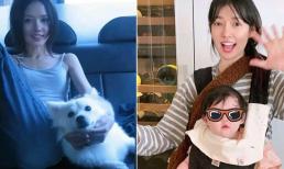 Tình cũ Phùng Thiệu Phong 'thay da đổi thịt' sau khi sinh, phụ nữ hạnh phúc hay không thì chỉ cần nhìn vào gương mặt?