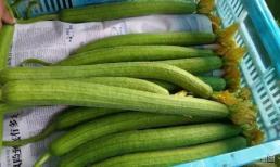 Những loại trái cây và rau quả thông thường này có thể bị ngộ độc khi chúng trở nên đắng, vì vậy hãy cẩn thận