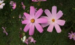 Khi người ta nghèo, cố gắng đừng tiêu tiền cho 3 thứ, nếu không khổ sẽ càng khổ