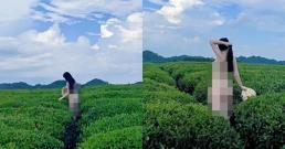 Cô gái không mặc đồ, đứng tạo dáng check-in trên đồi chè khiến dân tình ngán ngẩm