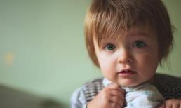 Trí thông minh của đứa trẻ là do bẩm sinh hay được nuôi dưỡng? Nhà khoa học: Chỉ cần nhìn vào Einstein