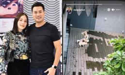 Sống chung nhà, hot girl Linh Rin được thiếu gia Phillip Nguyễn chụp lại khoảnh khắc mặc bikini chơi cùng thú cưng