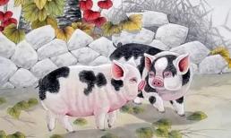 Tử vi 35 ngày tới: 3 con giáp chuẩn bị đón cơ may lớn, làm đâu trúng đó, cuộc sống khởi sắc rõ rệt