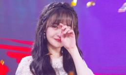 Trịnh Sảng bị phạt hơn 1 nghìn tỷ vì trốn thuế, chính thức bị gỡ toàn bộ các tác phẩm, tài khoản mạng xã hội cũng 'bay màu'