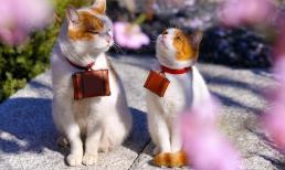 Cuối tuần này, Top 3 con giáp may mắn ngút trời, gặp thời đổi vận, Thần Tài chiếu mệnh, tiền vàng chật két