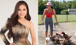 Cuộc sống bên chồng 'đại gia' của ca sĩ Hồng Ngọc tại Mỹ: Sở hữu nhà vườn rộng hàng nghìn mét như khu resort