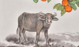 Những người khác đang xuống dốc ở tuổi 40, nhưng ba con giáp này kiếm được 'bộn tiền' ở tuổi 40