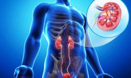 5 loại trái cây này là “thần dược” bổ thận, người thận kém hãy ăn nhiều nhé!