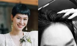 Trà My idol đăng ảnh tóc bạc đầy đầu, một số sao Việt đồng cảm