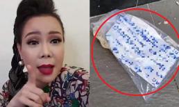 Việt Hương kể nỗi khổ khi làm từ thiện, bị dân ném gạch đá vào nhà vì lý do bất ngờ