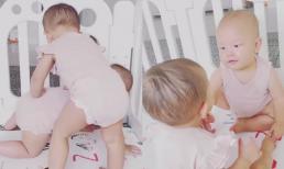 Khoảnh khắc bá đạo của cặp song sinh nhà Hà Hồ: Chị đòi cưỡi lưng em, em cào mặt chị khiến mẹ bỉm đau đầu