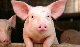 Từ giữa tháng 9 trở đi, 3 con giáp vô cùng may mắn, từ sự nghiệp, tài vận đến nhân duyên đều thăng hoa viên mãn