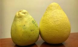 Chuyên gia cảnh báo: '2 loại người' có thể bị ngộ độc khi ăn bưởi