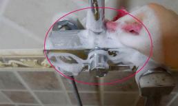 Kem đánh răng vẫn có thể sử dụng được như thế này, hầu hết mọi người đều chưa biết! Hãy nhanh tay thử ngay tại nhà