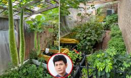 Ngắm vườn rau 350 m2 của ca sĩ Quách Thành Danh ở Mỹ