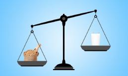 Top những thực phẩm giàu canxi gấp nhiều lần sữa, tận dụng để cả đời không lo loãng xương