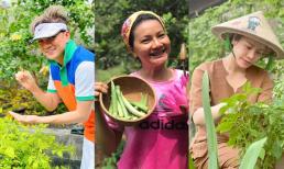 Những khu vườn rau củ quả xanh mướt 'siêu to' của loạt sao Việt trong mùa dịch