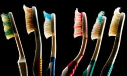 Có 100 triệu vi khuẩn trên bàn chải đánh răng của bạn, làm thế nào để giữ cho nó sạch sẽ?