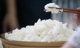 Tôi có thể ăn cơm để qua đêm không? Nhiều người hiểu chưa đúng. Hãy nhanh nói cho gia đình biết những điều này nhé!