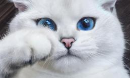 Rằm tháng 8 âm lịch: Được thần tài ưu ái, 3 con giáp gặp cơ hội đổi đời, giàu có và viên mãn bất ngờ