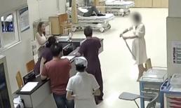 Bị rắn cắn, cô gái dùng tay không tóm ngay thủ phạm đến thẳng bệnh viện