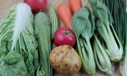 Người trồng rau cho biết, có 4 loại rau cần hạn chế mua về nhà