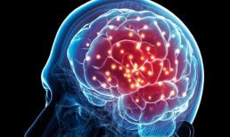 Tập thể dục thường xuyên não sẽ trẻ mãi không già, 5 gợi ý giúp não bộ thông minh hơn