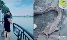 Vũ Khắc Tiệp chia sẻ khoảnh khắc thả cá phóng sinh nhưng khiến cư dân mạng tranh cãi gay gắt