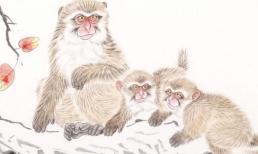 Chúc mừng 3 con giáp may mắn, bắt đầu từ tháng 9 âm lịch, công việc làm ăn không gặp nhiều khó khăn, sự nghiệp 'cất cánh'