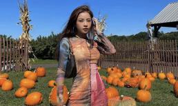 Giữa tin đồn đi du học, Chi Pu tiết lộ lý do qua Mỹ