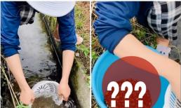 Cô gái Việt sống ở Nhật khiến dân tình kinh ngạc khi thu hoạch cả xô đặc sản 1 cách dễ dàng