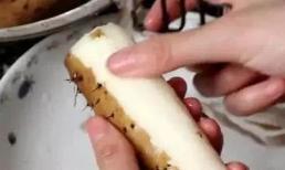 Bạn không cần phải đeo găng tay khi gọt củ mài. Đây là một cách hay để thực hiện dễ dàng. Không ngứa và không dính vào tay 