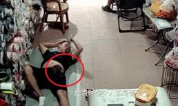 Đang nằm ngủ trưa, người đàn ông bị chuột cống khổng lồ trèo lên gặm bụng