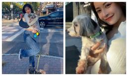 Chi Pu khoe loạt ảnh xinh, sang, xịn trên đất Mỹ nhưng chiếc bụng lại phản chủ?