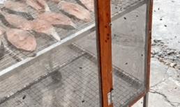 Khoe cách phơi hải sản có tâm nhất Việt Nam, chàng trai được netizen khen ngợi hết lời